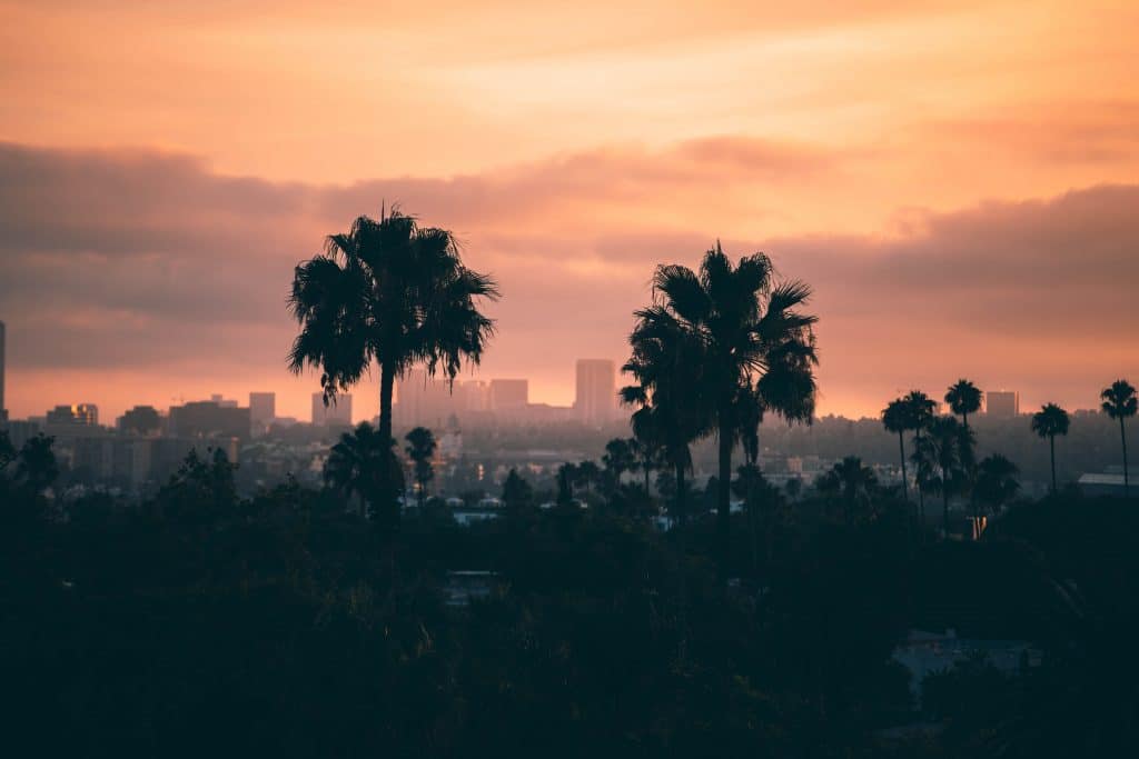 2 palm tree silhouettes with a cityscape and sunset in the background